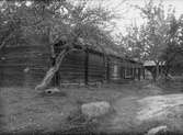 Loge, stall och fähus, Vreta torp, Dalby socken (Uppsala-Näs socken), Uppland, sannolikt 1920-tal