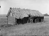 Lider, stall och fähus uppfört 1777- Ågren, Tjocksta, Danmarks socken, Uppland sannolikt 1920-tal