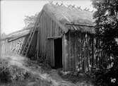 Ekonomibyggnader - Nyberg, Altuna, Börje socken, Uppland sannolikt 1920-tal