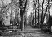 Smålands studentnations grav på Uppsala gamla kyrkogård, Kåbo, Uppsala november 1938