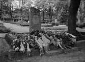 Gravvård tillhörande Johanna Löfgren på Uppsala gamla kyrkogård, Uppsala augusti 1939