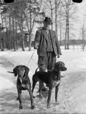 Man med hundar, Uppland 1941