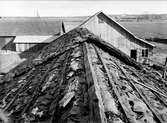 Slöjdbod och loftbod - nu på friluftsmuseet Disagården - under nedmontering i Gränby, Björklinge socken, Uppland