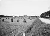 Sädesskylar, Lantbrukshögskolan, Ultuna, Uppsala 1940