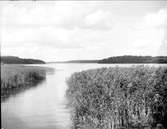 Garnsviken i Mälaren, norr om Sigtuna, Uppland, augusti 1930