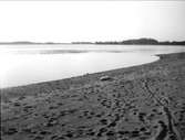 Strand vid Fagerudd, söder om Enköping, Uppland 1930