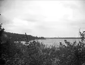 Landskapsvy med Dalälven, Näs bruk, By socken, Dalarna juni 1915