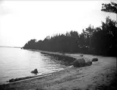 Landskapsvy med Dalälven, Hedesunda, Gästrikland i maj 1915