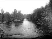 Dalälven vid Älvkarleö, Älvkarleby socken, Uppland 1924