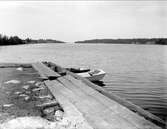 Havskust, Ortala, Väddö socken, Uppland 1927