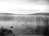 Funbosjön, Funbo socken, Uppland augusti 1929