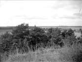 Utsikt från Knösen, Lunda, Danmarks socken, Uppland september 1928