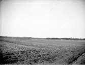 Odlingslandskap, Forkarby, Bälinge socken, Uppland april 1918