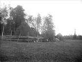 Höstackar i Knypplan, Tegelsmora socken, Uppland år 1925