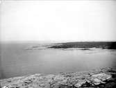 Havskust vid Örskär, Gräsö socken, Uppland i juli 1925