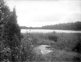 Norrviken, Vässjön, Sollentuna, Uppland 1925