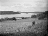 Gårdsmiljö vid Mälaren, Eds socken, Uppland 1928