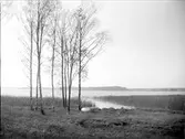 Strand vid Fysingen, Skånelaholm, Skånela socken, Uppland 1928