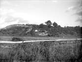Enbacke i  Fågelsången, Lövstaholm, Odensala socken, Uppland i september 1931