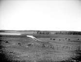 Landskapsvy vid Ekhamns gård och Ekhamnsviken, Vassunda socken, Uppland 1914