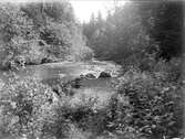 Örsundaån nära Vilstena, Altuna socken, Uppland,  juli 1927