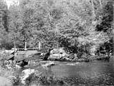 Örsundaån, Hårsbäcksdalen, Altuna socken, Uppland juli 1929