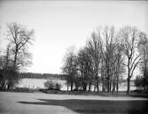 Vendelsjön vid Örbyhus, Vendels socken, Uppland april 1921