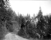 Flyttblock vid väg, Almunge socken, Uppland september 1920