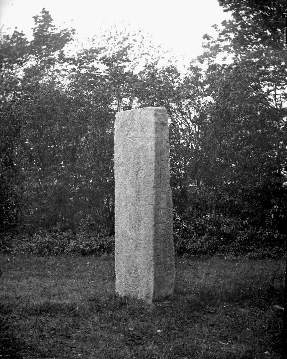 August Fredrik Schagerström, Runsten U1161, near Altuna Church, Altuna parish, Uppland 1919