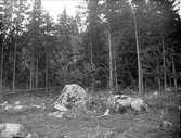 Stenformationer vid Skutters skans fornborg i Stav, Simtuna socken, Uppland i augusti 1928