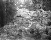 Stenmur vid Skutters skans fornborg i Stav, Simtuna socken, Uppland i augusti 1928