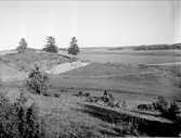 Landskapsvy nära Storvreta, Ärentuna socken, Uppland 1931