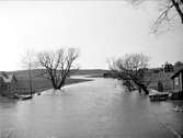 Örsundaån i Örsundsbro, Uppland maj 1931