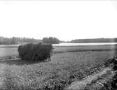 Landskapsvy med Norrsjön, Almunge socken, Uppland augusti 1933