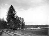 Sjön Trehörningen, vid Marielund, Funbo socken, Uppland juni 1934