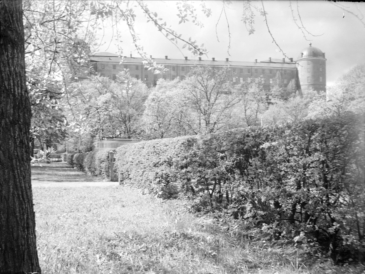 Ossian Wallin, Uppsala Castle, from Svandammen, Uppsala