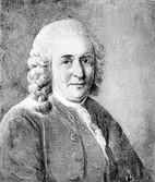 Konstverk - Carl von Linne´