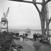 Provtur inför leverans av fartyg 106 M/T Mai Bente.