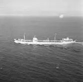 Fartyg nr. 195 T/T Beu Geste, tankfartyg.