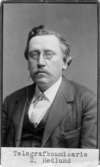 Telegrafkommissarie Edvard Hedlund (1837 - 1917)