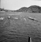 Roddtävling på Byfjorden