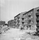 Husbygge på Söder i Uddevalla 1951