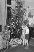 Tre förväntansfulla barn väntar på julklappsutdelning, december 1949