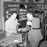 6 - dagars filmen 1954