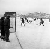 Bandymatch Dingle - Oddevold 1955