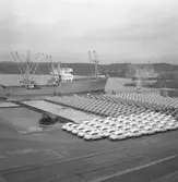 Bilar tillverkade på Saab-fabriken i Trollhättan i väntan på export till USA i Uddevalla hamn i juli 1957