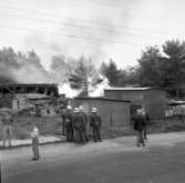 Brandmän bekämpar en eldsvåda i Dalaberg, i norra delen av Uddevalla, juni 1958