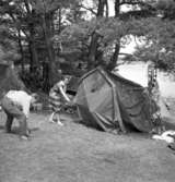Hafstens camping juli 1958