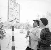 Skidåkare vid Hällerstugan på Herrestadsfjället i januari 1959