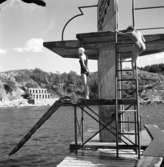 Baddag i Skeppsviken